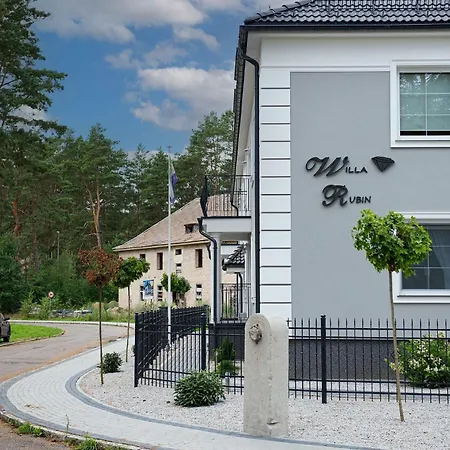 Rubin 博尔内苏利诺沃